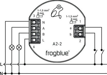 Smart Lighting Switch 2 x Relay (2 inputs) - frogAct2-2